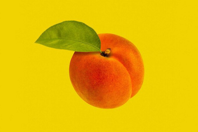 Armenian Dating App Ari - Navigating Love in the Digital Age: A Humorous Guide to Armenian Dating Apps